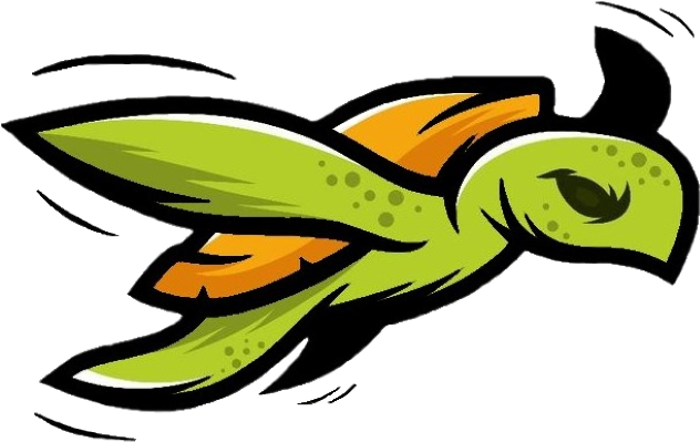 8, Turtle Squad, - Turtle (1175x870), Png Download