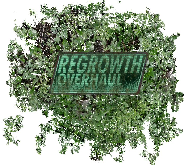 Donation Points System - Fallout 4 (800x700), Png Download