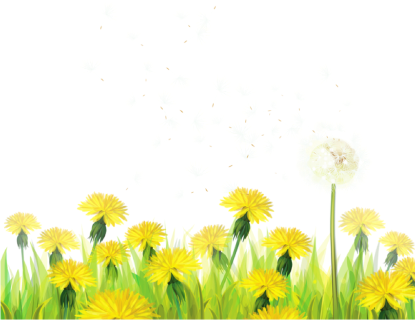 Free Png Transparent Grass With Dandelions Png Images - Dandelion Clipart Transparent Background (850x696), Png Download