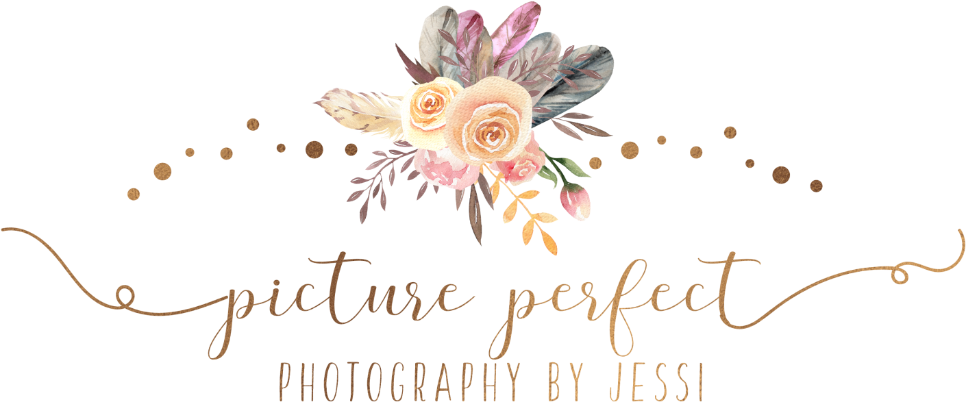 Picture Perfect Photography By Jessi Roanoke, Va 339-5683 - Greeting Card (1500x657), Png Download