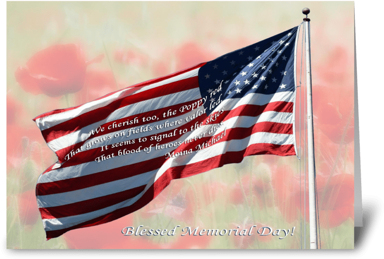 Flag And Poppies Greeting Card - Takeover, Liberalism In America: Expressions Of A Conservative (848x698), Png Download