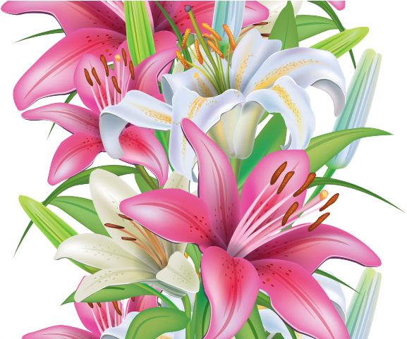 Original - Portable Network Graphics (640x480), Png Download