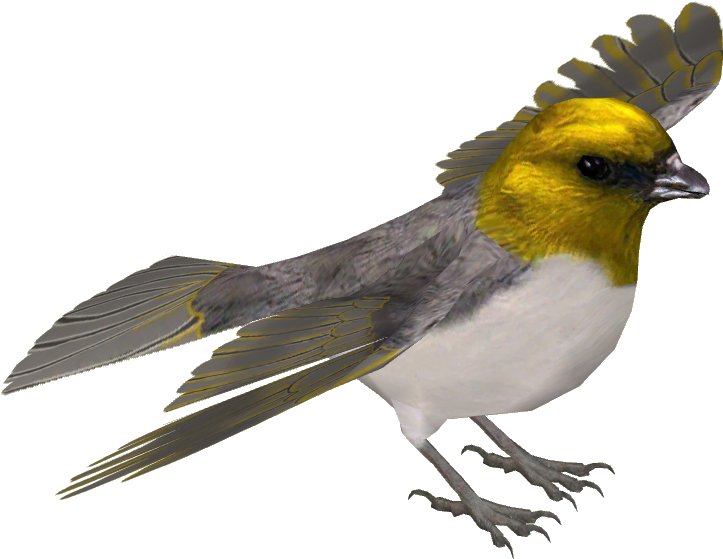 Palila - European Robin (722x722), Png Download