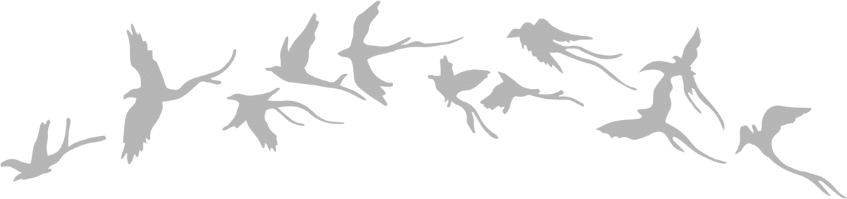 Cowherd And Weaver Girl Tale - Silhouette (1200x282), Png Download