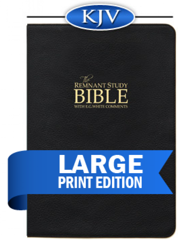 More Views - Large Print Edition Bible (800x800), Png Download