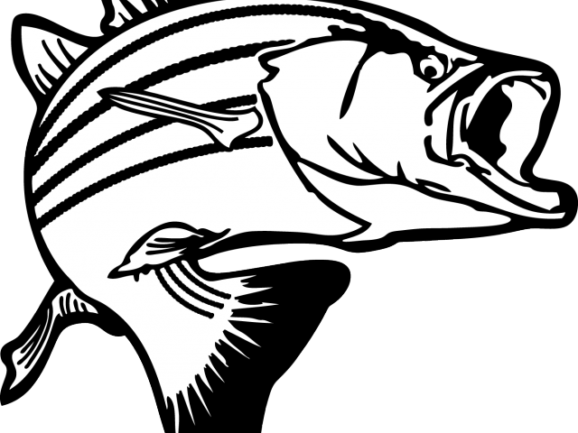 Shark Clipart Stencil - Size Does Matter Coffee Mug (640x480), Png Download