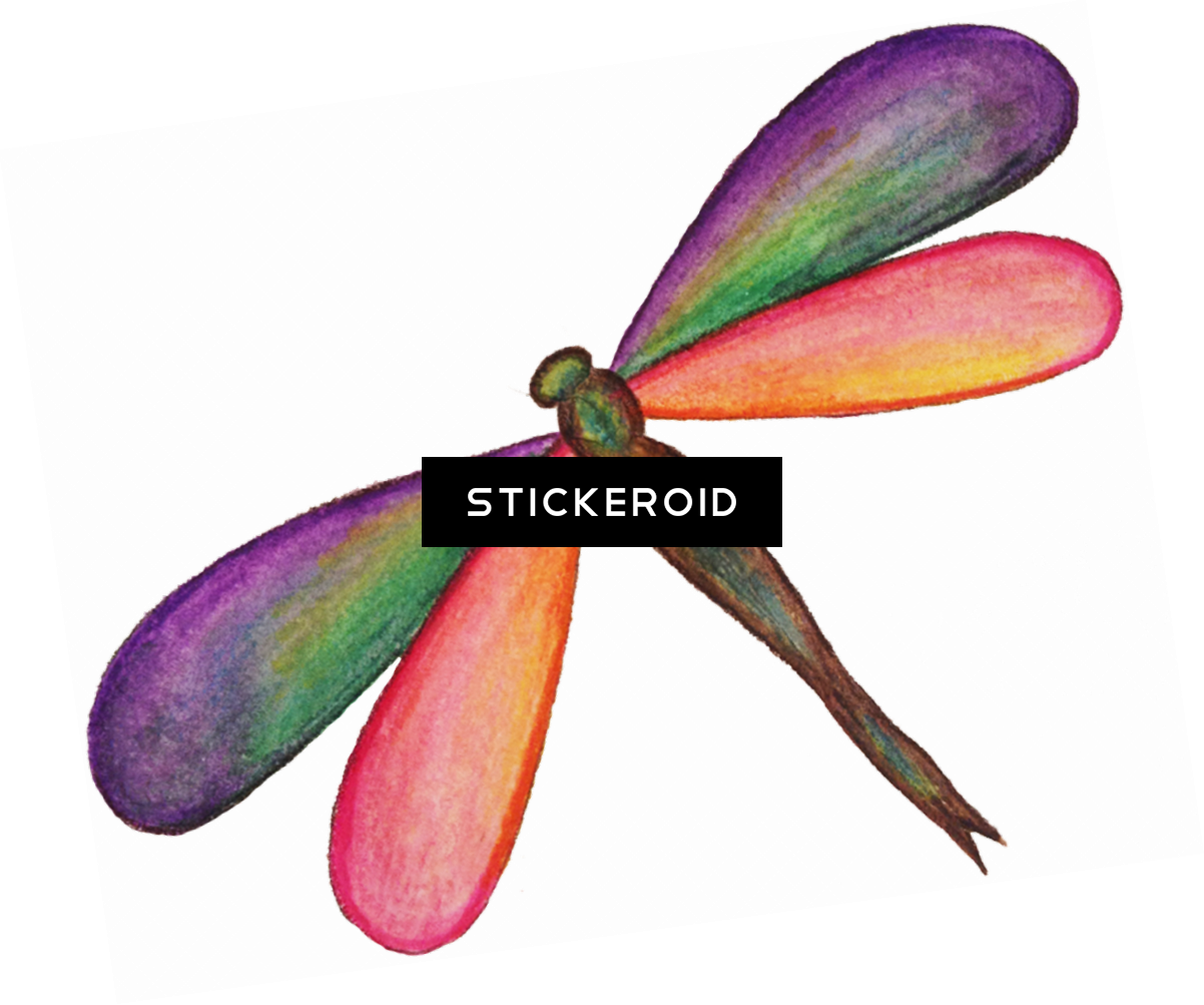 Dragonfly Hd Insects - Net-winged Insects (1202x1003), Png Download