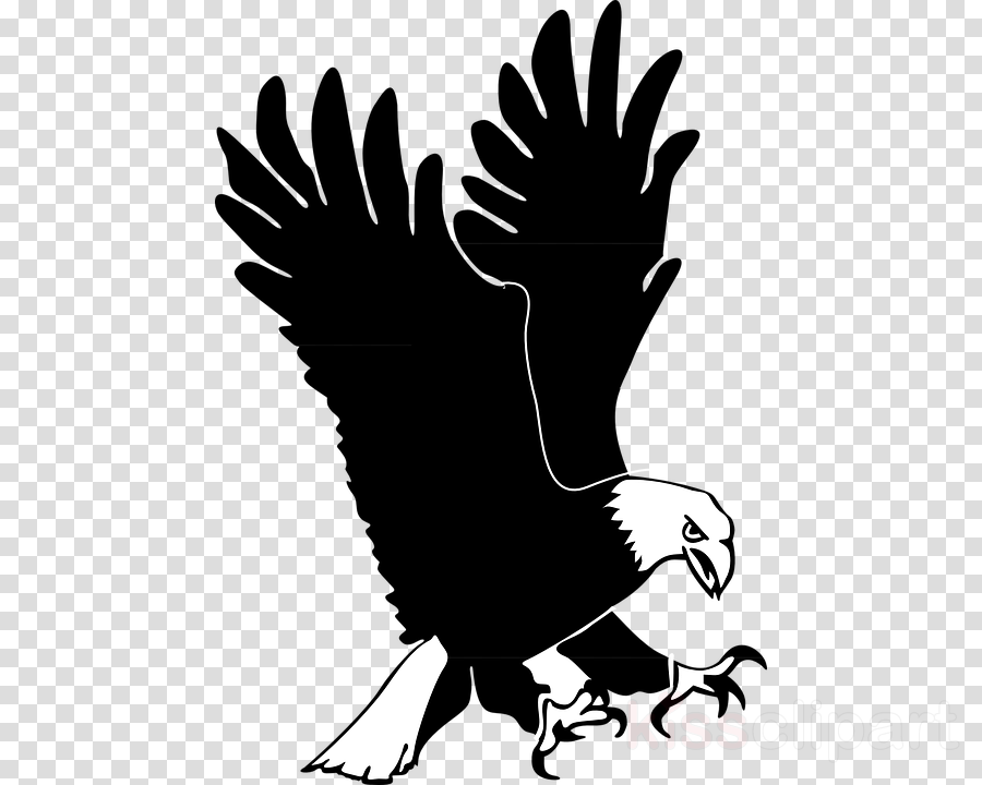 Eagle Clip Art Clipart Bald Eagle Clip Art - Movie Icons Transparent Background (900x720), Png Download