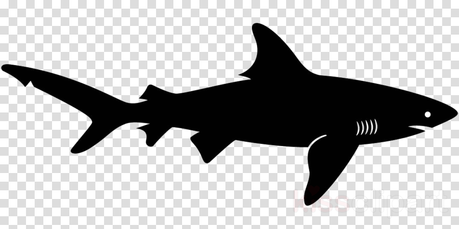 Shark Silhouette Clipart Shark Clip Art - Makeup Brush No Background (900x450), Png Download