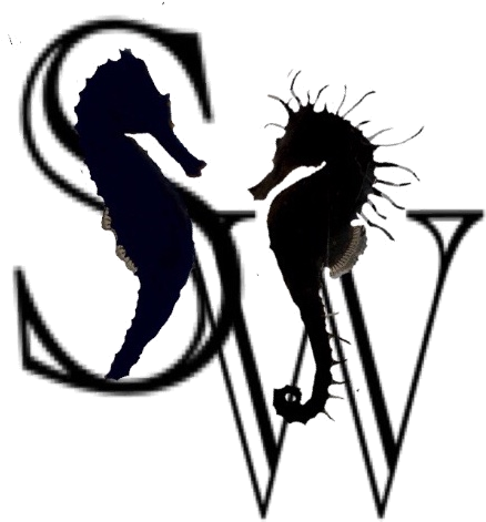 Seahorse Whisperer Society - Seahorse (567x745), Png Download