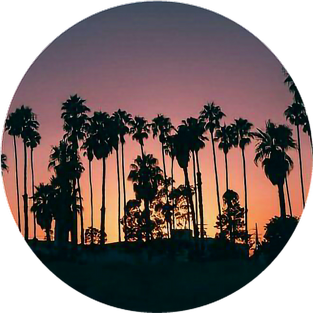 Aesthetic Losangeles City Background Tumblr Aestheticbo - Miami Iphone (1024x1024), Png Download