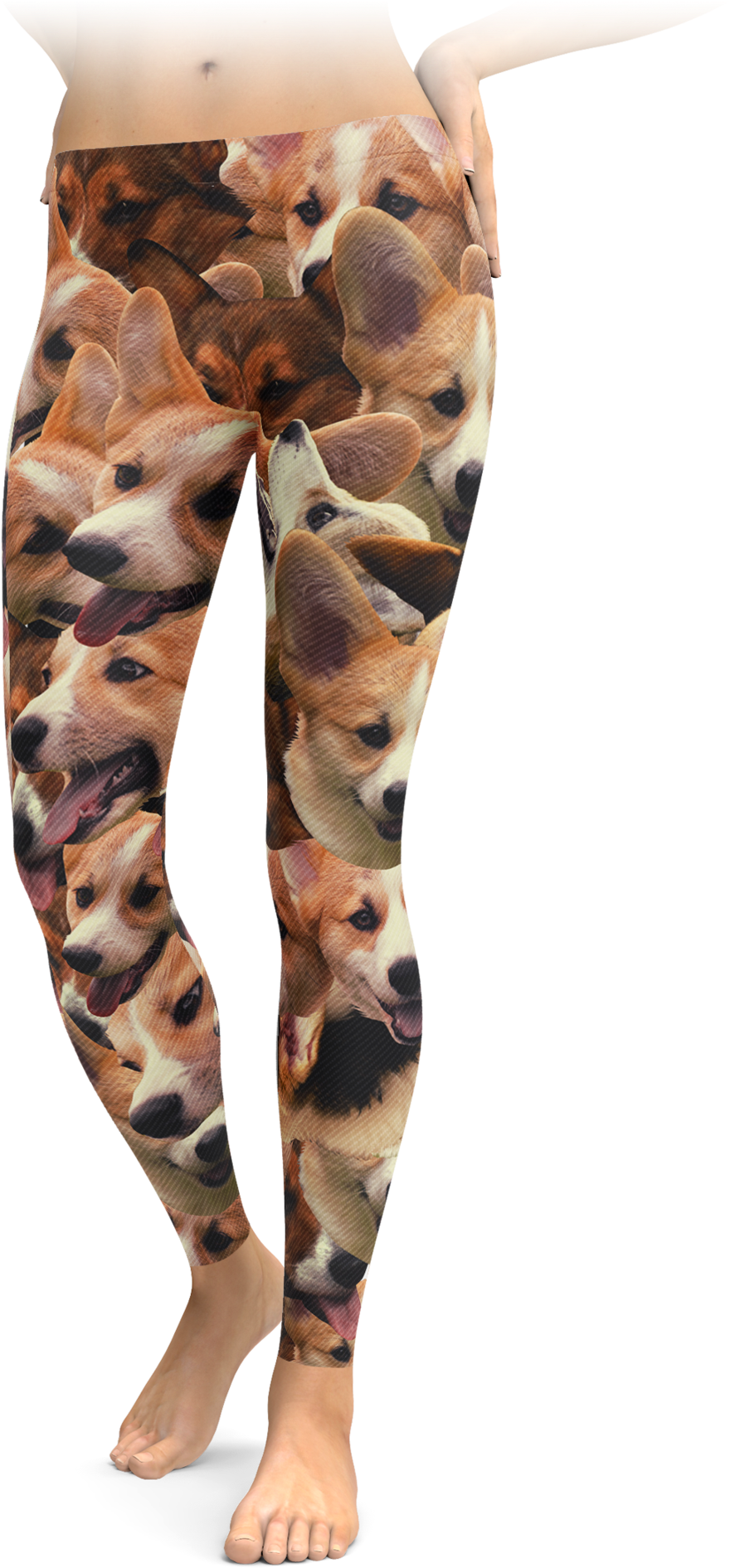 Corgs On Corgs On Corgis Leggings - Horse Riding - Barn Hair Don't Care (1692x2048), Png Download
