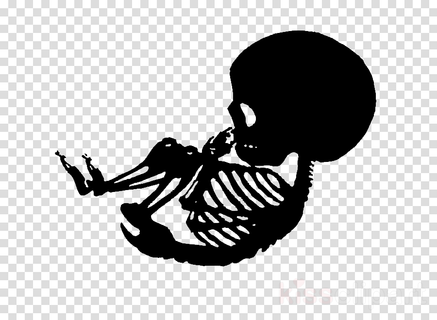 Skeleton Stencil Png Clipart Clip Art - Transparent Rugby Ball Outline (900x660), Png Download