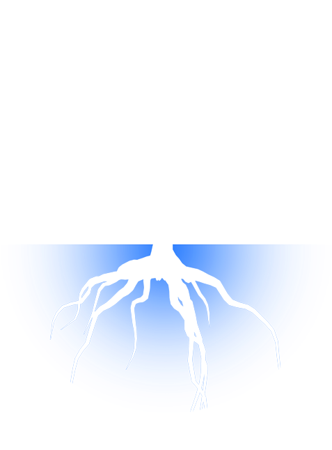 This Is An Evolving Presentation, With - Education (600x645), Png Download