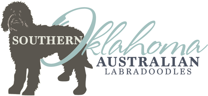 Labradoodle Dog Breeder Logo Design Rieger Ranch - Doodle Mom Decal (800x500), Png Download