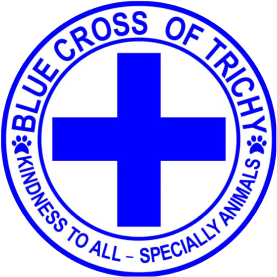 Blue Cross Of Trichy - New Mexico Junior College Logo (669x670), Png Download