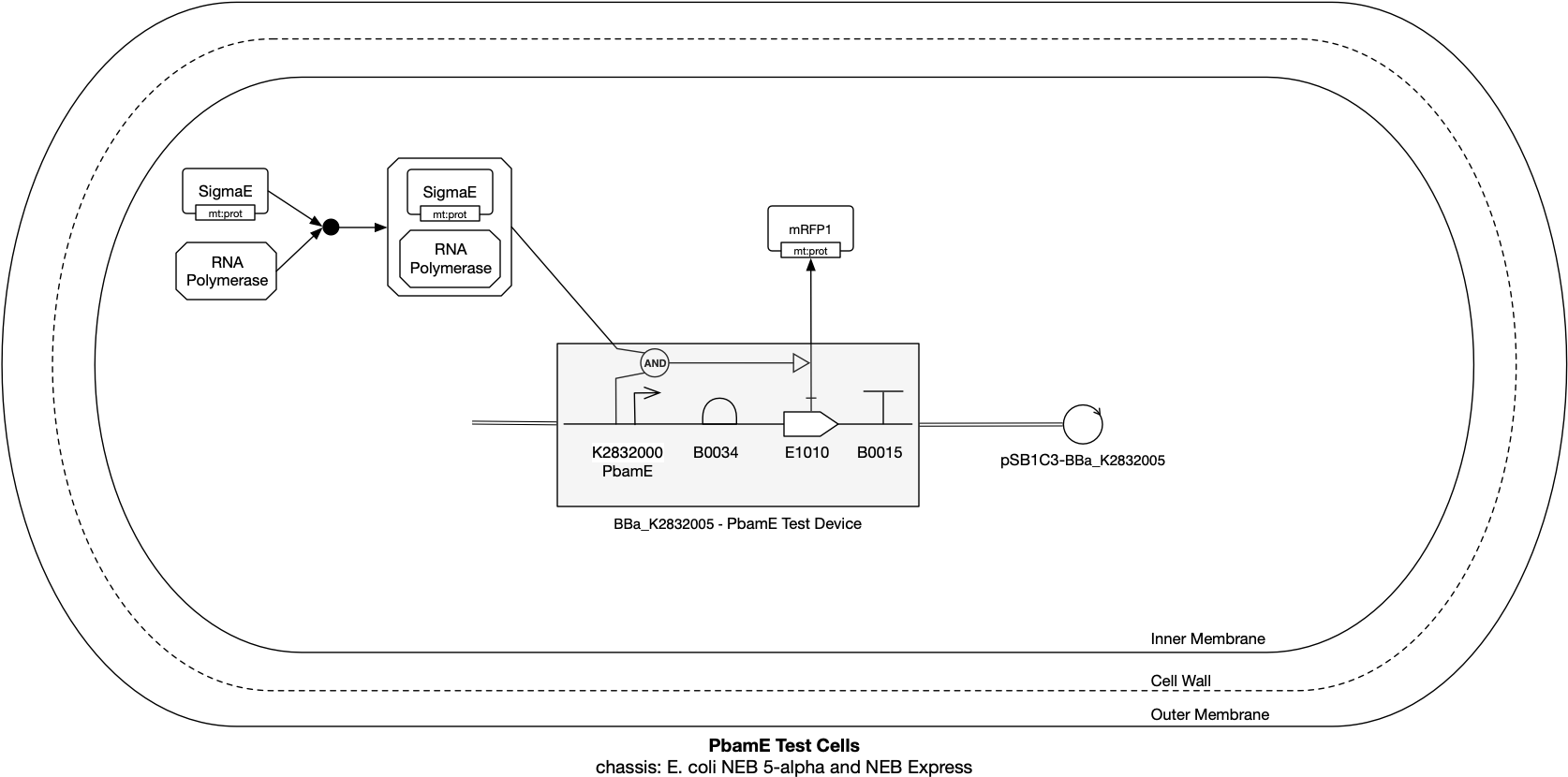 While Bame Is A Byproduct Of Our System - Diagram (1673x837), Png Download