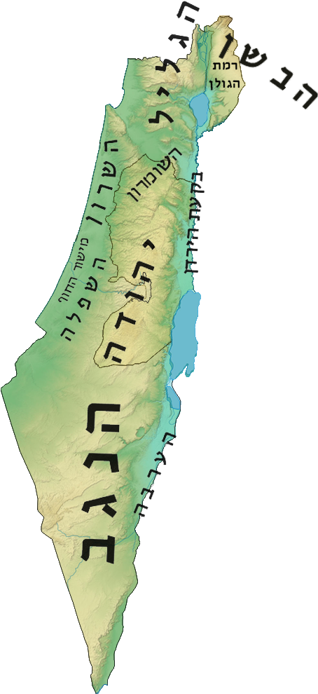 Israel Regions - Diagram (483x1022), Png Download