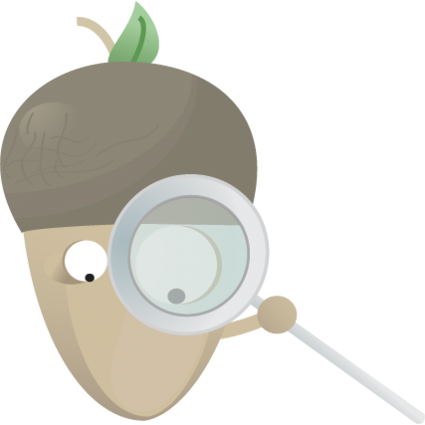 File - Acorn Icon (425x425), Png Download