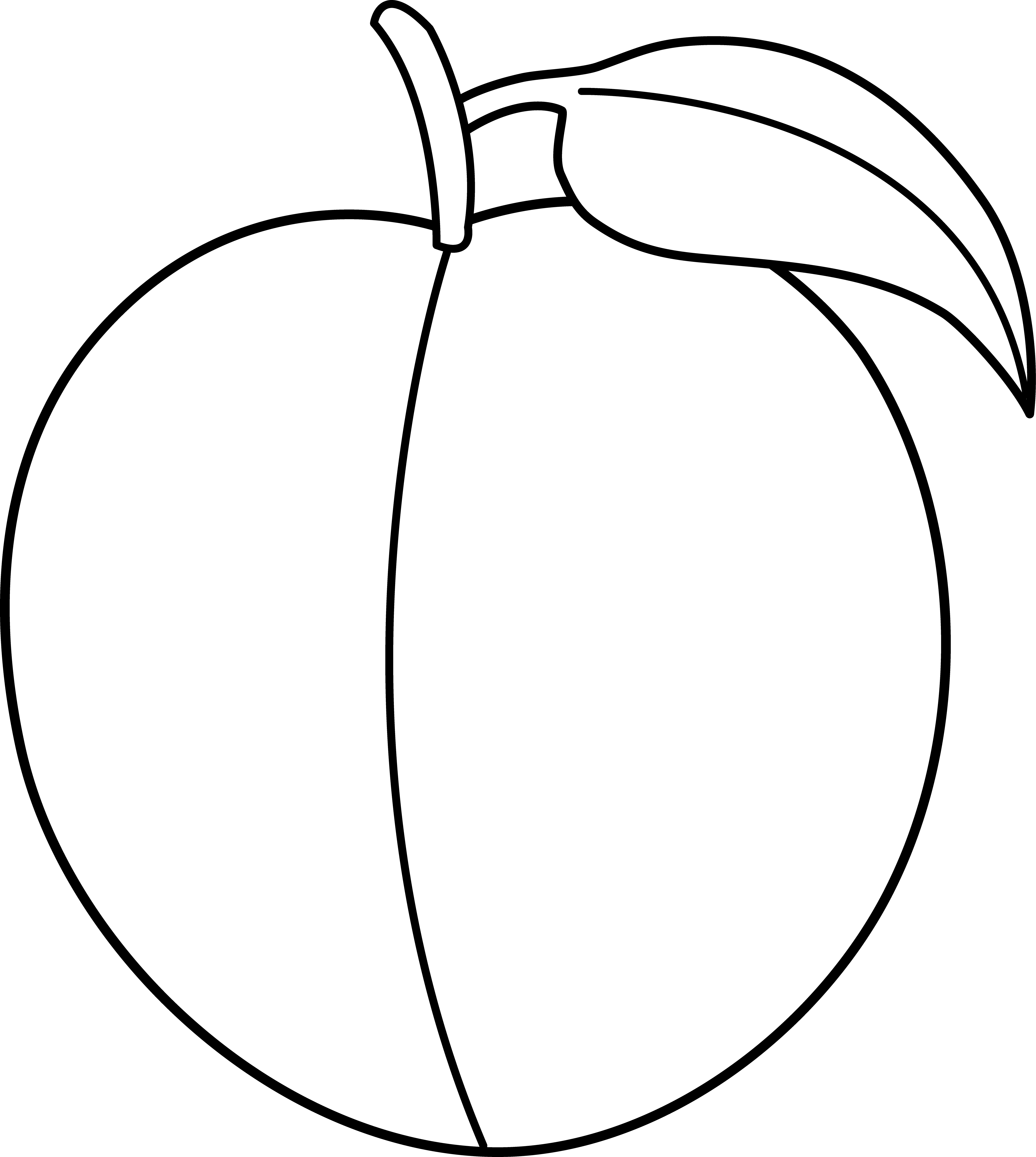 Apple Icon Material Png Image And Clipart Source - Peach Clipart Black And White Png (4911x5484), Png Download