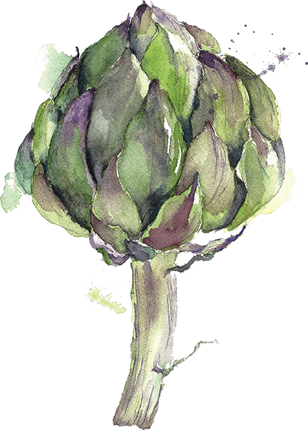 £6 - - Artichoke Watercolor Painting (432x603), Png Download