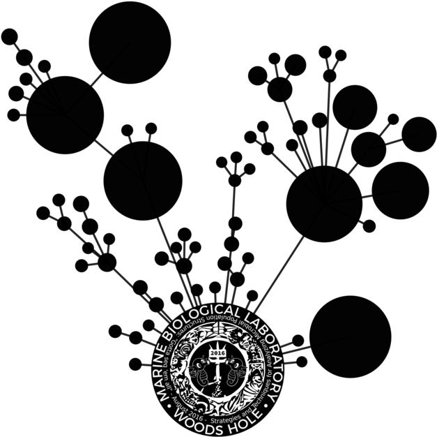 Final Draft Of T-shirt Back Design - Circle (720x680), Png Download