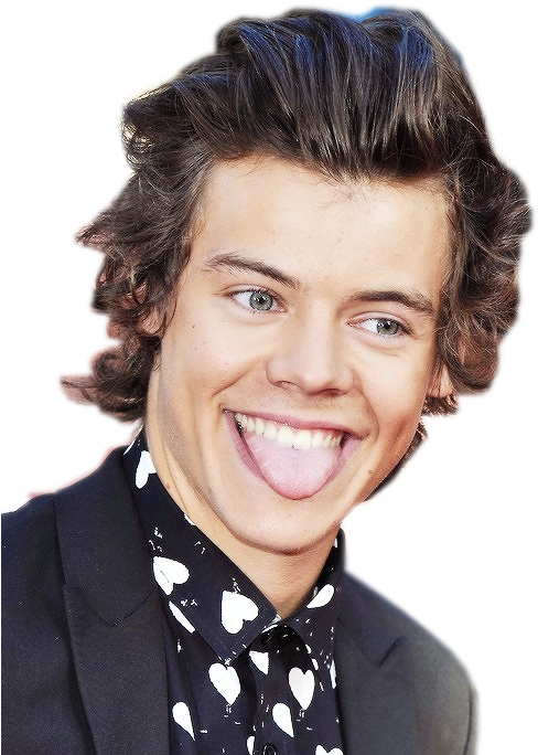 Harry Styles' Png - Harry Styles Face Transparent (500x700), Png Download