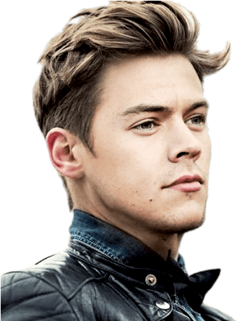 Music Stars - 2017 Harry Styles (387x468), Png Download