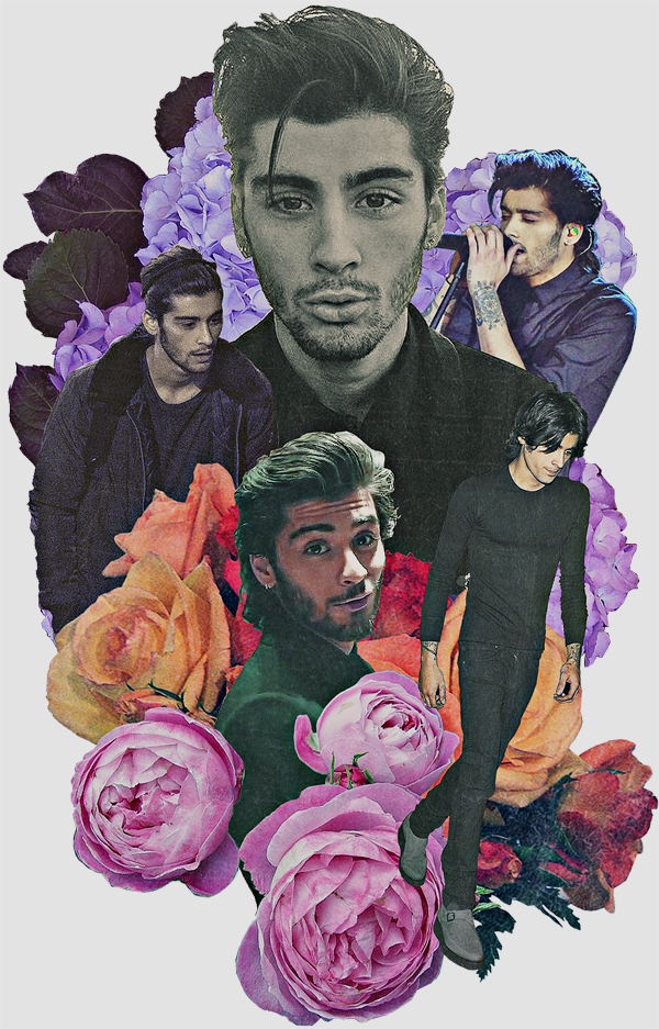 #zaynmalik - Zayn Malik Collage Tumblr 2015 (600x937), Png Download