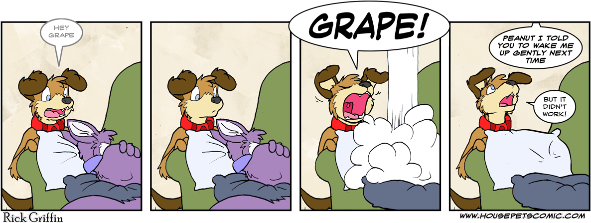 By The Way Mom Asked Why She Keeps Finding Claw Marks - Housepets Peanut And Grape Porn (1200x471), Png Download