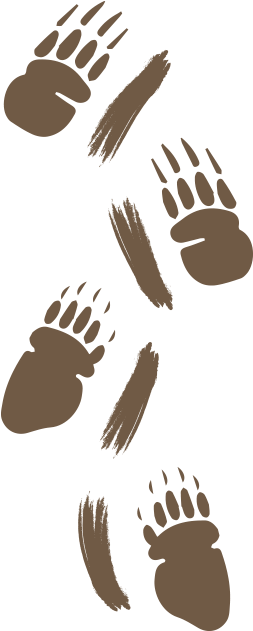 Porcupine Claw Marks Will Typically Show - Illustration (266x634), Png Download