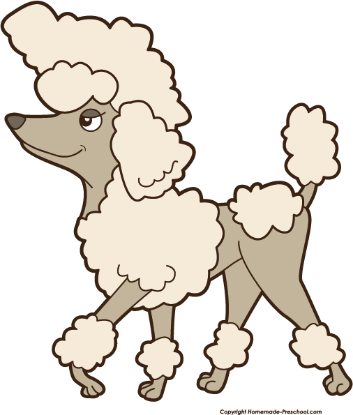 Click To Save Image - Poodle Clipart (506x595), Png Download