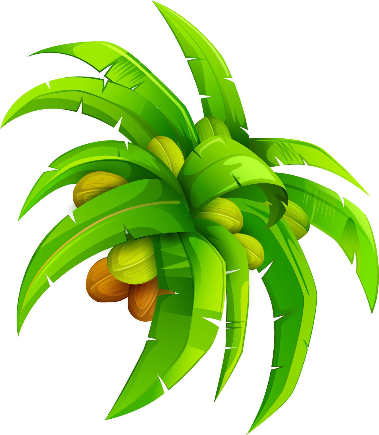Leaf Coconut Euclidean Vector - Coconut Leaves Vector Png (1655x1775), Png Download