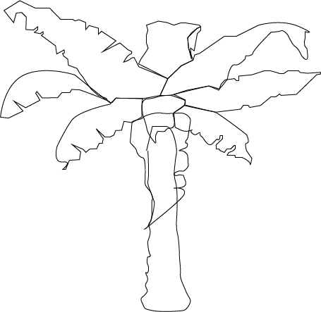 Banana Tree Drawing - Pencil Images Of Banana Tree (455x443), Png Download