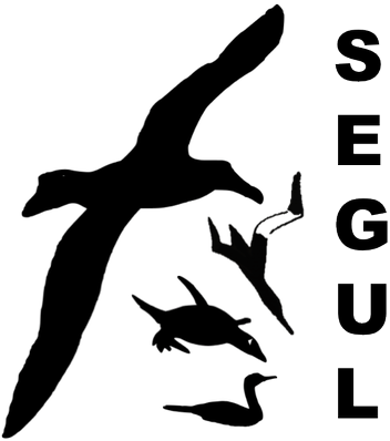 Segul - Twitter (400x400), Png Download