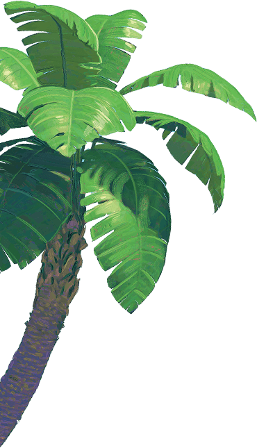 Shipwrecked Vbs Ultimate Starter Kit - Shipwrecked Vbs Palm Tree (370x645), Png Download
