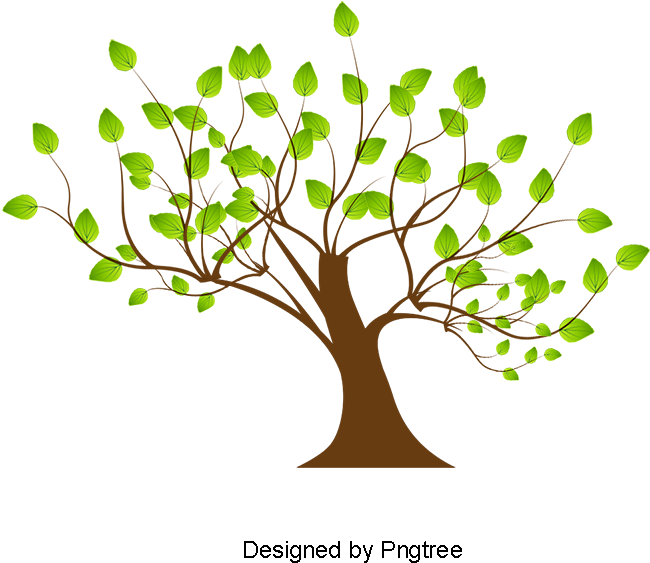 Tree - Portable Network Graphics (800x800), Png Download