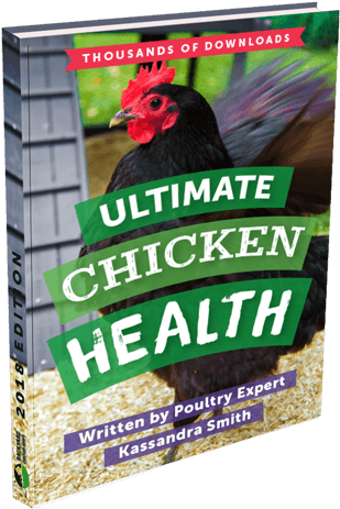 Download Ebook - Ultimate Game Card (350x490), Png Download