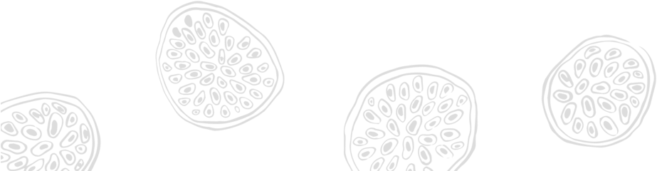 Ines Aramburo Maraca Gr2 - Circle (1000x253), Png Download