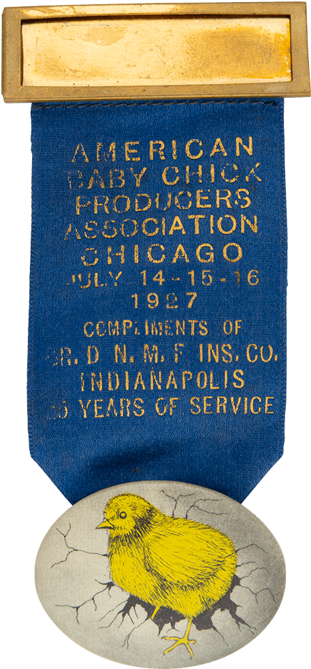 American Baby Chick Producers Association - Museum (501x1000), Png Download