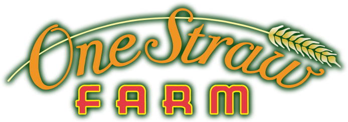 Faq (729x250), Png Download