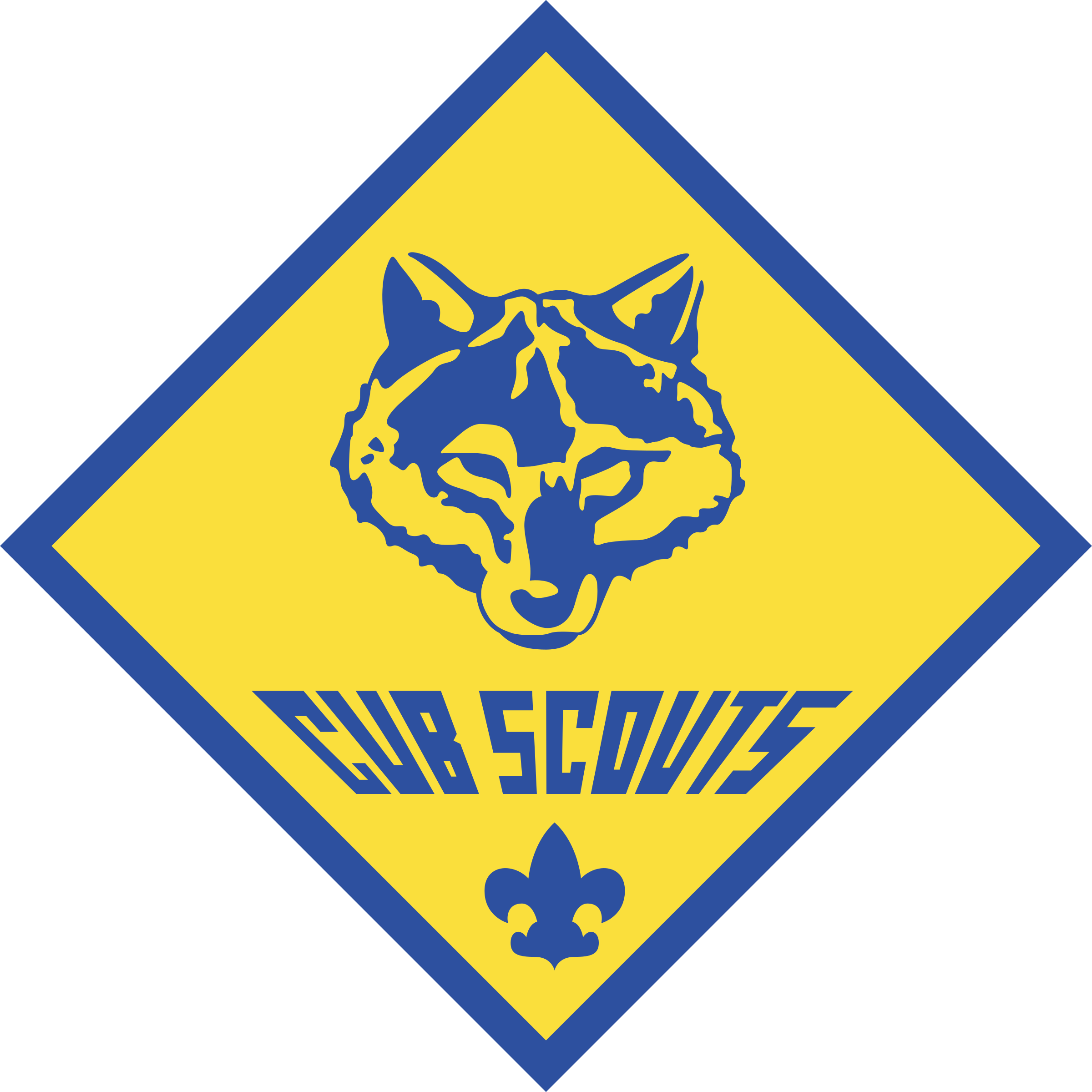 Leadership For Cub Scout Pack 183 Has Been Announced - Cub Scout Logo (2400x2400), Png Download