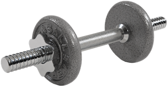 Dumbbell Set 4kg - Casall Dumbbell Set 4 Kg 4 Kg (385x550), Png Download
