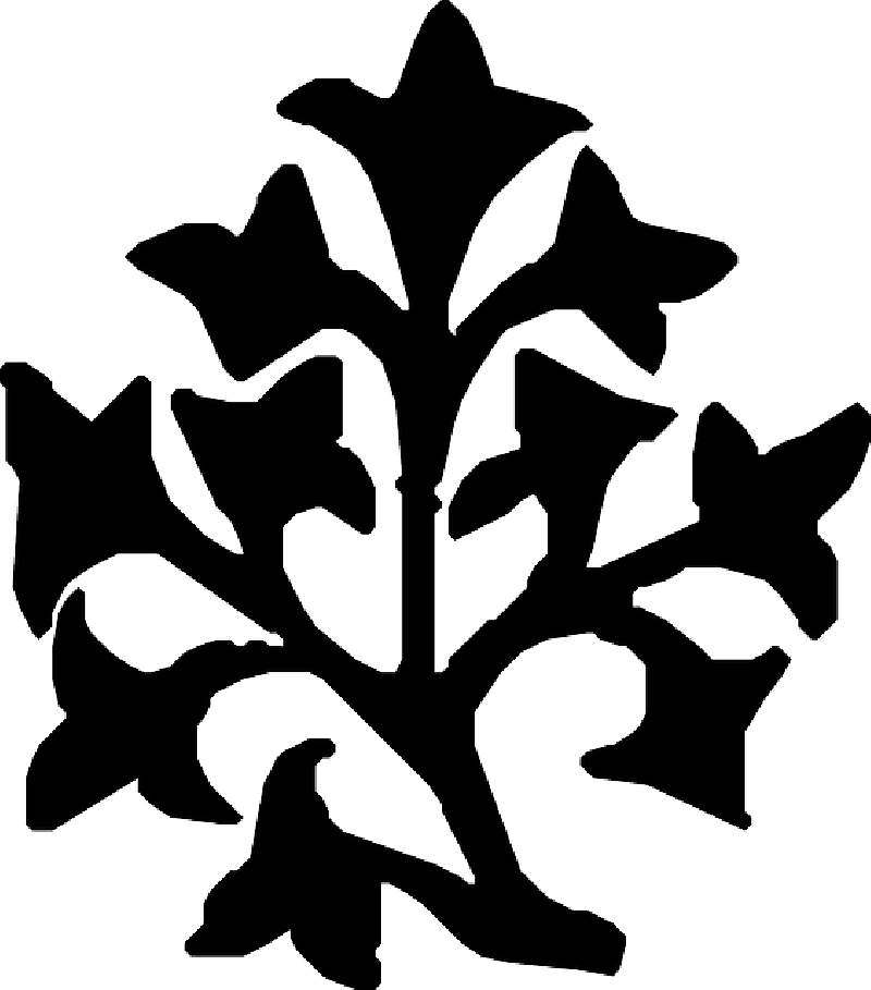Line, Ornament - Monograms (800x909), Png Download