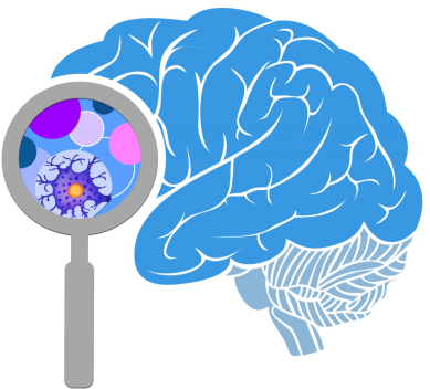 Brain High Quality Png Png Images - Brain Initiative (400x365), Png Download