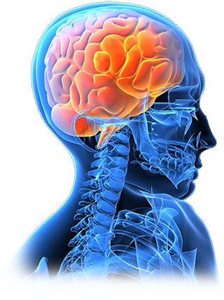 Ghosh Has Extensive Training, Background, And Experience - Advanced Topics In Glioblastoma (325x441), Png Download