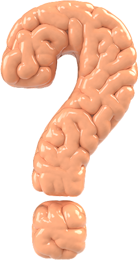 Corn Flakes Symbol Of Happy Family Utopia, Healthy - Question Image With Brain (527x583), Png Download