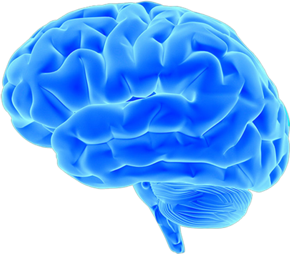Blue Brain Project Neuroimaging Pink Brain - Brain With Black Background (677x566), Png Download