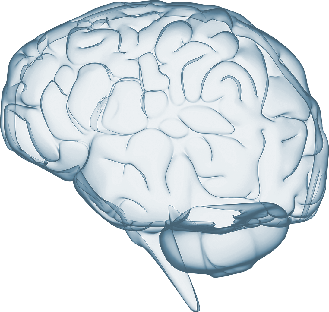 35 Years Of Research - Learningrx - Centennial (1091x1035), Png Download