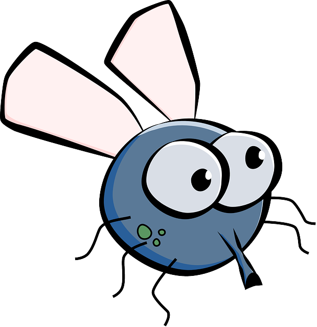 Housefly, House Fly, Fly, Insect, Wings, Eyes, Cartoon - Budget Tote.drawing Fly. Tote Bag (620x640), Png Download